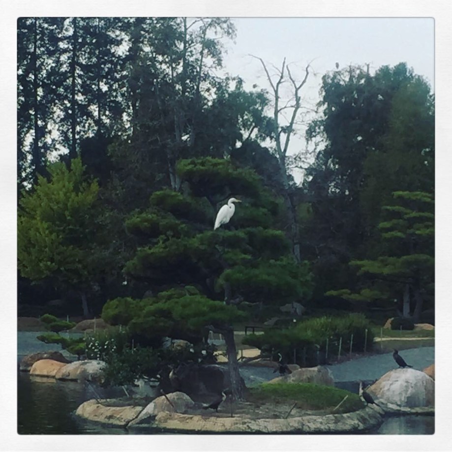 091B12D0-FB12-4DE1-A75E-5597662C93BF